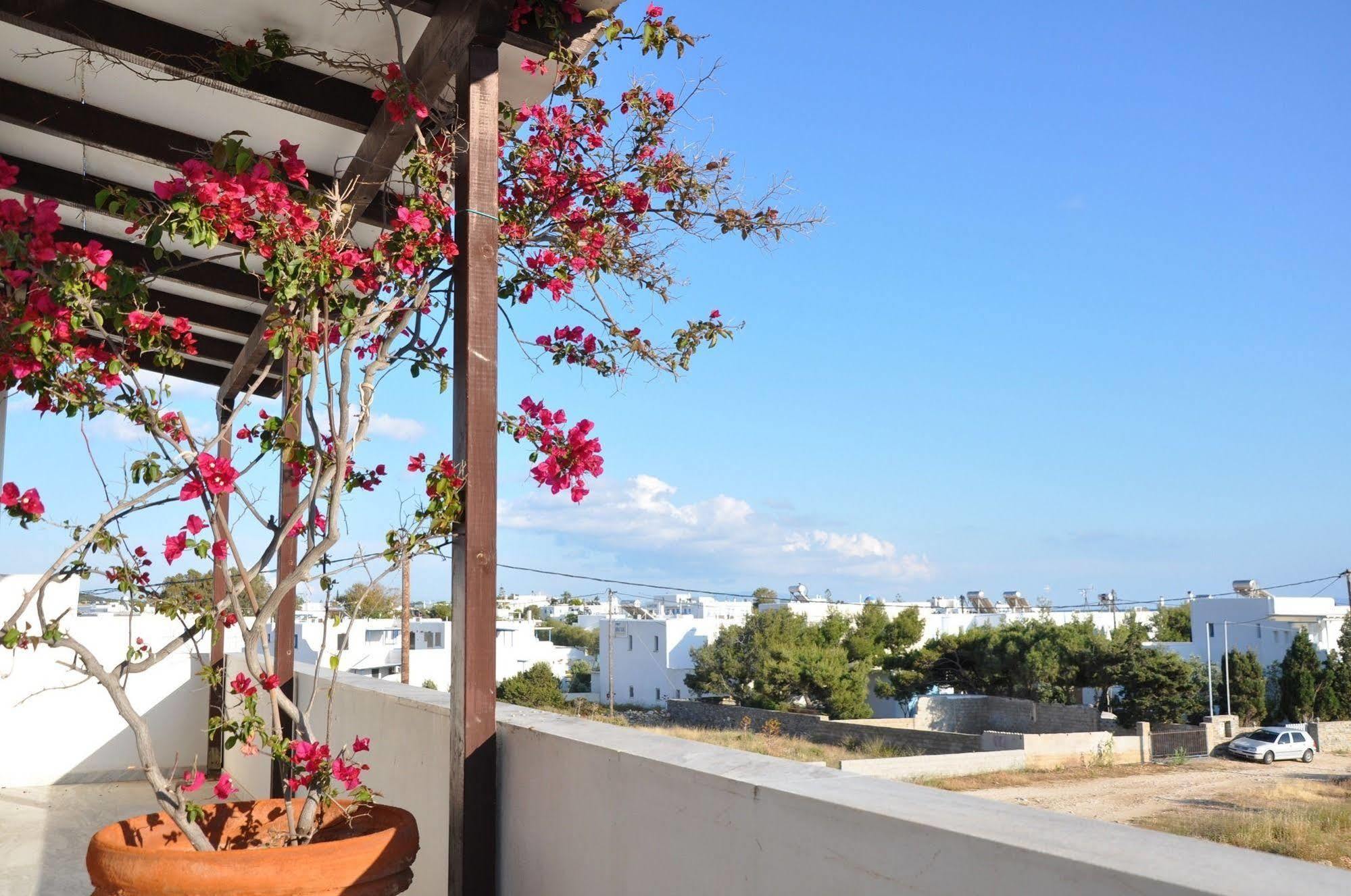 Michalis Apartments Near The Beaches With Sea View Páros 외부 사진